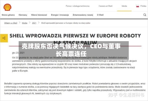 壳牌股东否决气候决议，CEO与董事长高票连任-第2张图片