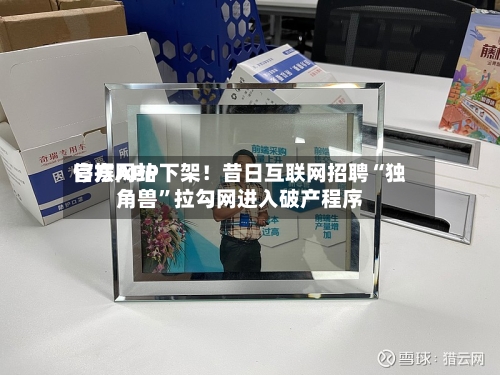 官方网站停摆APP下架！昔日互联网招聘“独角兽”拉勾网进入破产程序-第2张图片