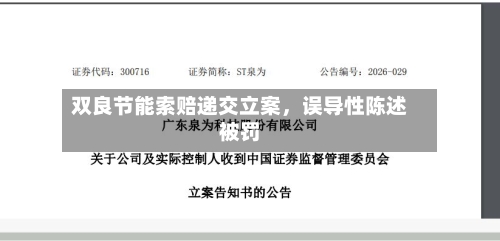 双良节能索赔递交立案，误导性陈述被罚-第2张图片