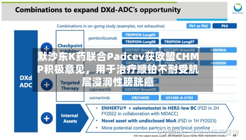 默沙东K药联合Padcev获欧盟CHMP积极意见，用于治疗顺铂不耐受肌层浸润性膀胱癌-第2张图片