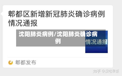 沈阳肺炎病例/沈阳肺炎确诊病例