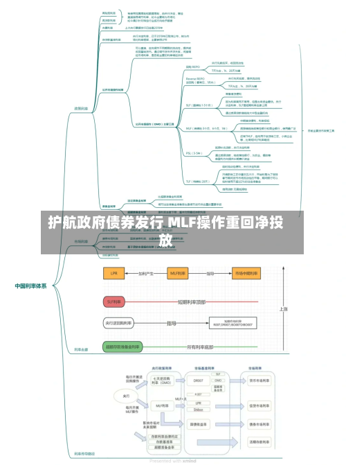 护航政府债券发行 MLF操作重回净投放-第3张图片