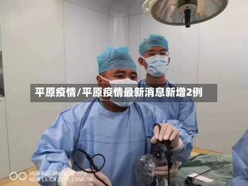 平原疫情/平原疫情最新消息新增2例-第2张图片