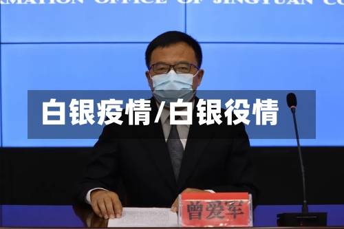 白银疫情/白银役情-第2张图片