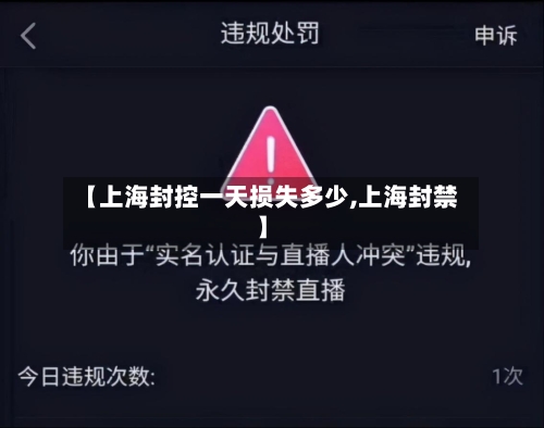 【上海封控一天损失多少,上海封禁】-第3张图片