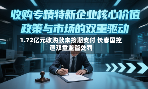 1.72亿元收购款未按期支付 长春国控遭双重监管处罚-第2张图片