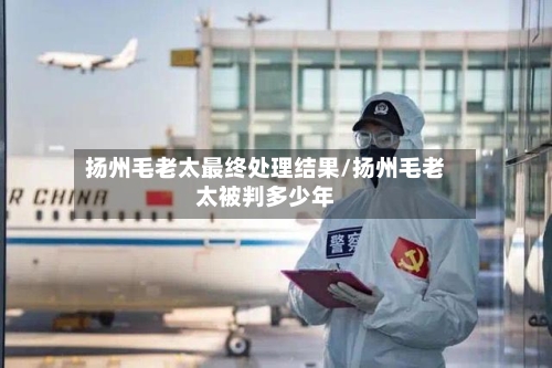 扬州毛老太最终处理结果/扬州毛老太被判多少年-第2张图片