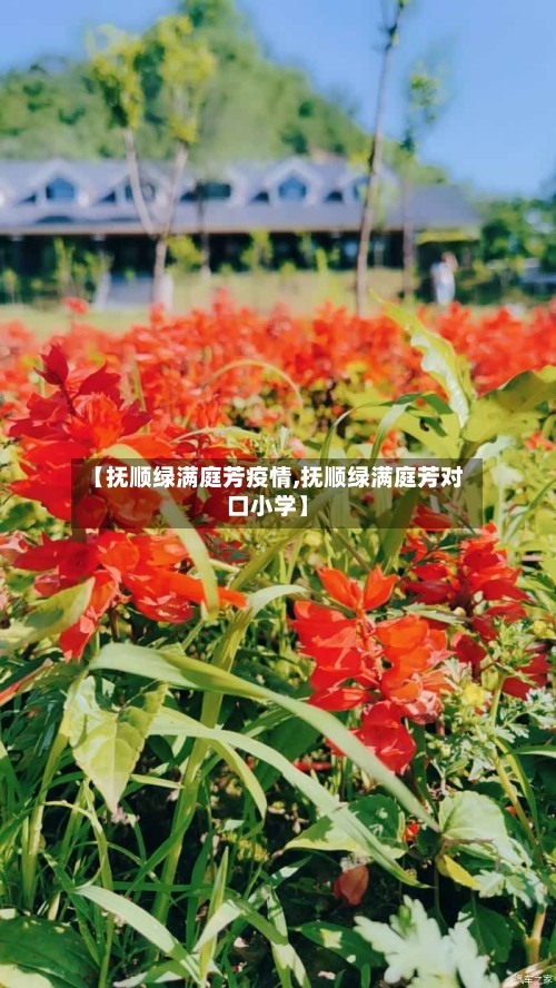 【抚顺绿满庭芳疫情,抚顺绿满庭芳对口小学】