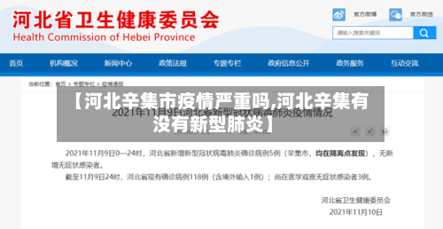【河北辛集市疫情严重吗,河北辛集有没有新型肺炎】