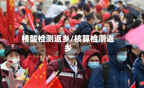 核酸检测返乡/核算检测返乡