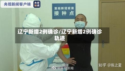 辽宁新增2例确诊/辽宁新增2例确诊轨迹