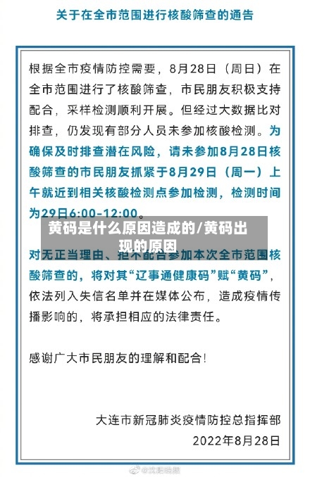 黄码是什么原因造成的/黄码出现的原因