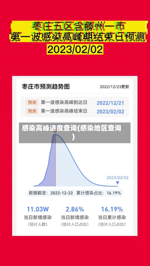 感染高峰进度查询(感染地区查询)