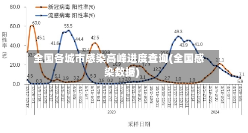 全国各城市感染高峰进度查询(全国感染数据)-第2张图片