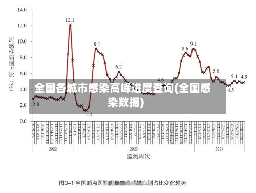 全国各城市感染高峰进度查询(全国感染数据)-第3张图片