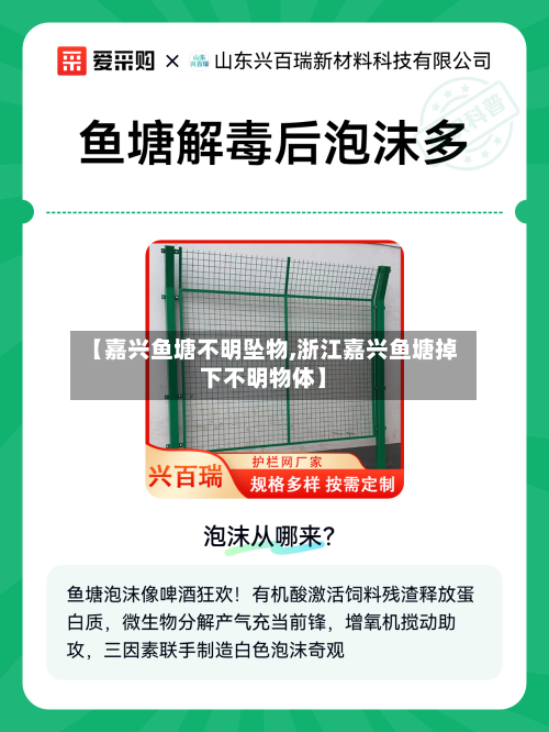 【嘉兴鱼塘不明坠物,浙江嘉兴鱼塘掉下不明物体】