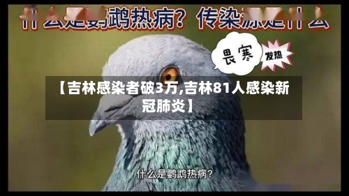 【吉林感染者破3万,吉林81人感染新冠肺炎】