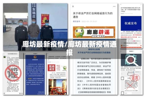 廊坊最新疫情/廊坊最新疫情通报-第3张图片