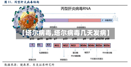 【塔尔病毒,塔尔病毒几天发病】-第3张图片