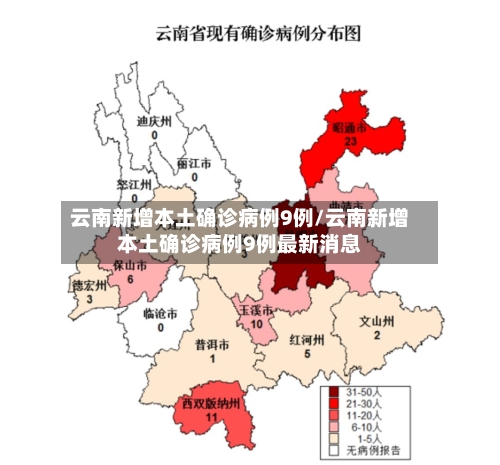 云南新增本土确诊病例9例/云南新增本土确诊病例9例最新消息-第3张图片