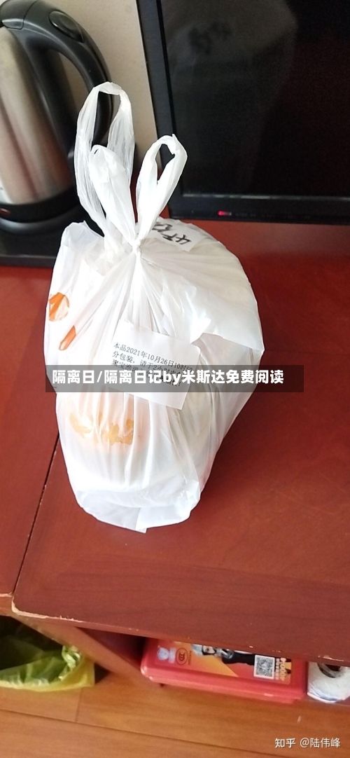 隔离日/隔离日记by米斯达免费阅读-第2张图片