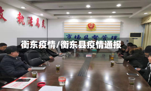 衡东疫情/衡东县疫情通报-第2张图片