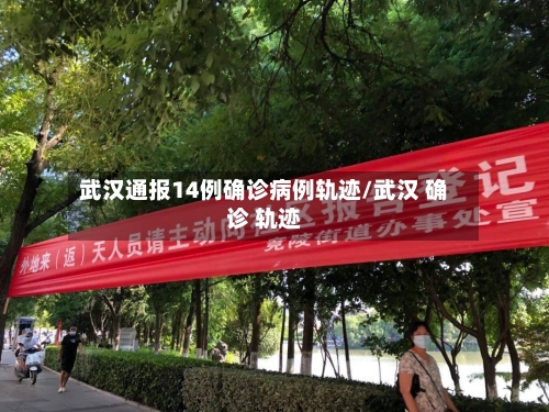 武汉通报14例确诊病例轨迹/武汉 确诊 轨迹-第3张图片