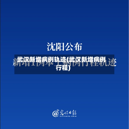 武汉新增病例轨迹(武汉新增病例行程)