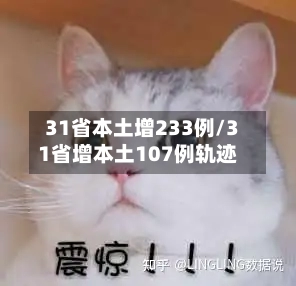 31省本土增233例/31省增本土107例轨迹-第3张图片