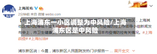 上海浦东一小区调整为中风险/上海浦东区是中风险-第3张图片