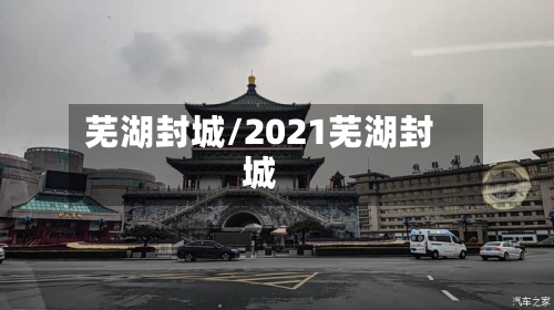 芜湖封城/2021芜湖封城
