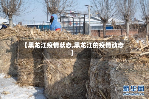 【黑龙江疫情状态,黑龙江的疫情动态】-第2张图片