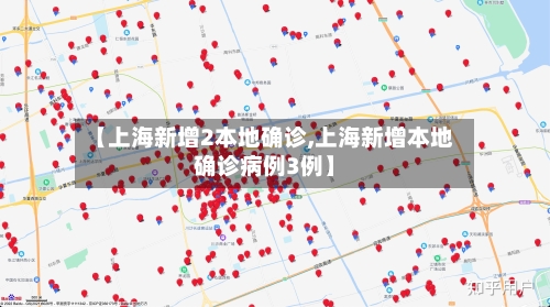 【上海新增2本地确诊,上海新增本地确诊病例3例】-第2张图片