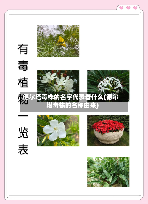 德尔塔毒株的名字代表着什么(德尔塔毒株的名称由来)-第2张图片
