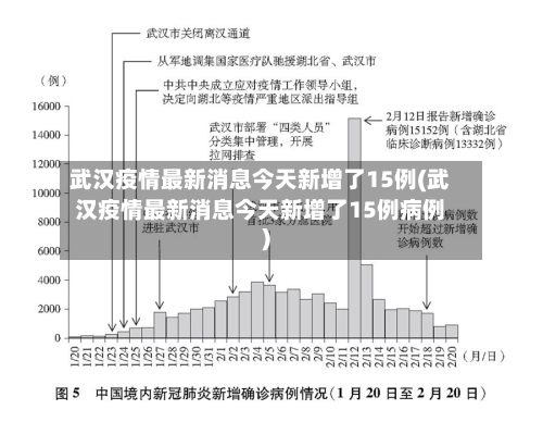 武汉疫情最新消息今天新增了15例(武汉疫情最新消息今天新增了15例病例)-第3张图片