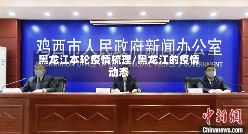 黑龙江本轮疫情梳理/黑龙江的疫情动态-第2张图片