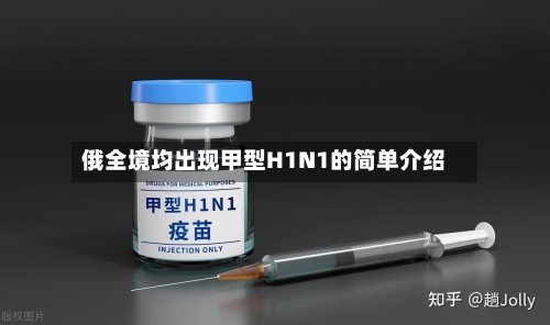 俄全境均出现甲型H1N1的简单介绍-第3张图片