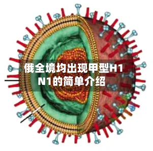 俄全境均出现甲型H1N1的简单介绍-第2张图片