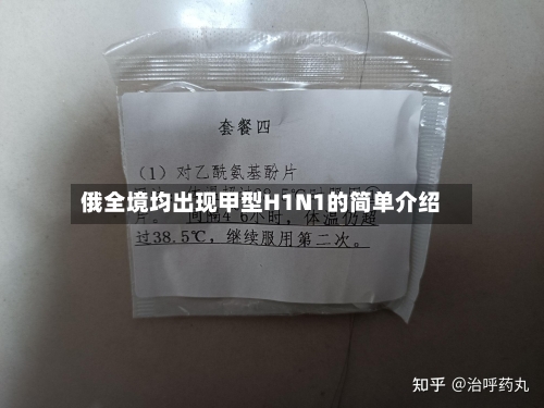 俄全境均出现甲型H1N1的简单介绍