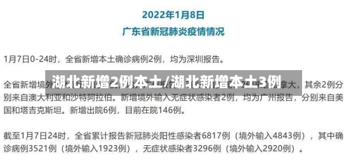 湖北新增2例本土/湖北新增本土3例